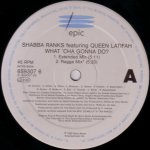 Shabba Ranks featuring Queen Latifah - What'Cha Gonna Do?