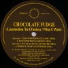 Chocolate Fudge - Locomotion / In A Fantasy / What U Want