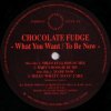 Chocolate Fudge - What You Want / To Be Now