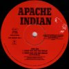 Apache Indian and Tim Dog - Make Way For The Indian