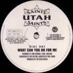 Utah Saints - What Can You Do For Me